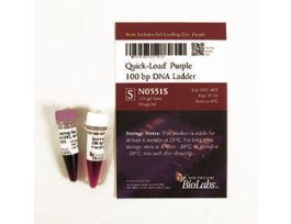 Q-L PURPLE 100 BP DNA LADDERN0551S