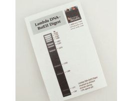 LAMBDA DNA-BSTE II DIGEST