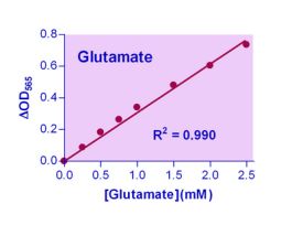 KIT GLUTAMATE ASY ENZYCHROM 50UM 100 TST