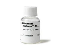 IGG SEPHAROSE 6FF 90UM 10ML F/PUR PRT A