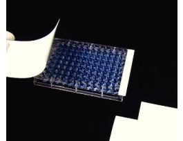 VWR FILM POLYESTER NS CS100