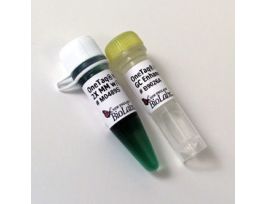 ONETAQ HTSTRT QUICKLD 2XGC 500