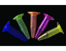 17ML NEON MCT ASSORTED BX500. CS