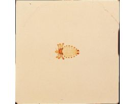 HAEMATOPINUS EURYSTERNUS ADULT(WM)