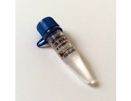 NEBNEXT HIGH-FIDELITY 2X PCR M