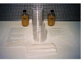 BACTERIA EXPERIMENT LAB