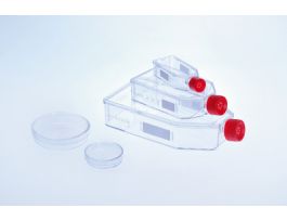 FLASK POLY-D-LYSINE T75 CS50