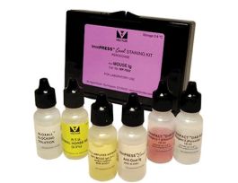Excel Staining Kit, Anti-Mouse IgG, 15 ml