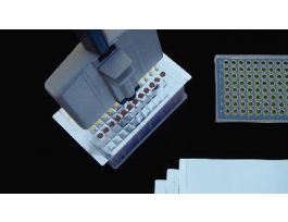 VWR FOIL-PIERCEABLE ST CS50