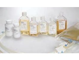 CDM4HEK293 WITHOUT L-GLUTAMINE