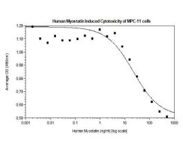 100-22-500UG HUMAN MYOSTATIN