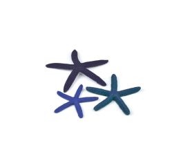 BIORB STARFISH SET 3 BLUE CS