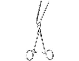 DEB AT LELAND JONES 30D 7 1/2IN