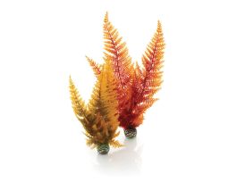 BIORB AQUATIC AUTUMN FERN SET 2 CS