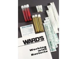 FD HEMOLYSIS SET NON-PATH. W/MEDIA