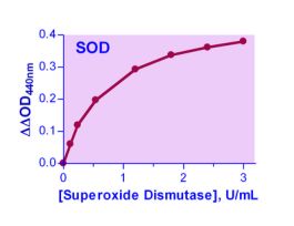 KIT SOD ASY ENZYCHROM 0.05 U/ML 100 TEST