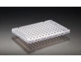 PCR PLATE SKIRTED 0.1MLBLUE