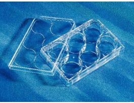 PLATE 6WELL NT PS LID ST CS100