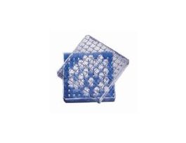 PC Storage CryoBox, 25 x 1-2 mL Vials; 8/Pk