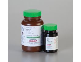 PEPSIN 1:3000 PWDR LG 100G.