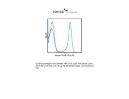 PE ANTI-MOUSE CD19 100UG
