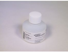 RPROTEIN A SEPHAROSE FF 25ML