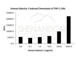 HUMAN GALECTIN-1 50UG