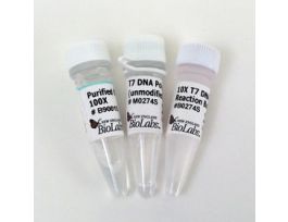 T7 DNA POLY (UNMOD), 1,500U