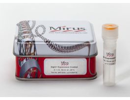 HUMAN IGG1 EXPRESSION VECTOR 100UG