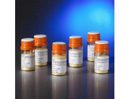 MICROCARRIER ATTACHMNT 10G CS1