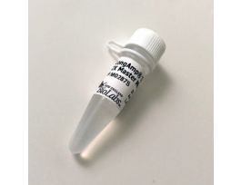 LONGAMP TAQ 2X MASTR MX 500RXN