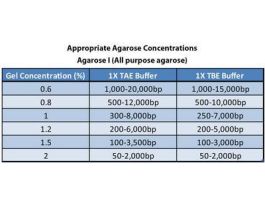 AGAROSE I ALL PURPOSE 25GM