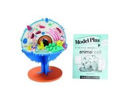 MODEL PLUS THE ANIMAL CELL