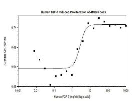 100-187AF-10UG HUMAN FGF-7/KGF (AF)