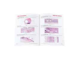 DIGESTIVE SYSTEM SET SET/35