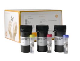 KIT CYDYE DIGE FLUOR MINI DYE LBL 2NMOL