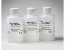 PHENYL SEPHAROSE HP BIO PRCS 34-uM 75ML