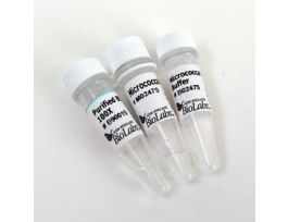 MICROCOCCAL NUCLEASE 80000GLUN