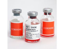 MATRIGEL MATRIX H-PROTEIN 10ML.