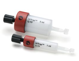 HITRAP Q FF 5ML F/PRT PURPK5