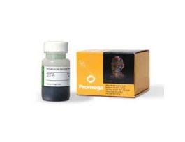 GOTAQ G2 HS POLYMERASE 2500U