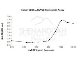 ANIMAL FREE HUMAN VEGF-165 100UG