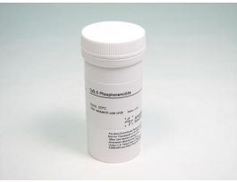 CY5.5 AMIDITE 100MG