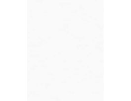 3M™ Lapping Film 268X, 0.30 Micron PSA Sheet, 8.50 in x 11 in, 50/Inner, 200/Case