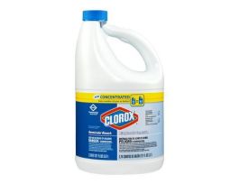 BLEACH GERMICIDAL CS