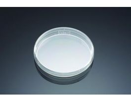 PETRI DISH STRL 100X15MM CS500.