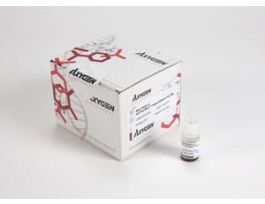 FRAGMENT SELECT-I KIT ML 4EA.