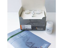 NEBNEXT POLY(A) MRNA 24RXN