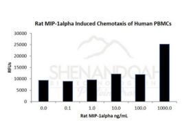 300-23-500UG RAT MIP-1 ALPHA / CCL3
