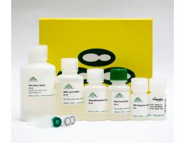 KIT QUICK-RNA FFPE UPTO 25MG TSU 50PREPS